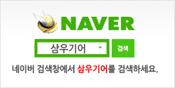 naver